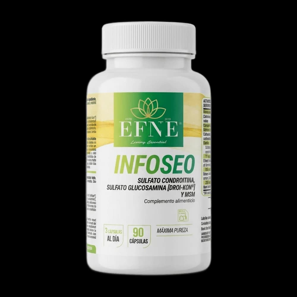 Infoseo EFNE